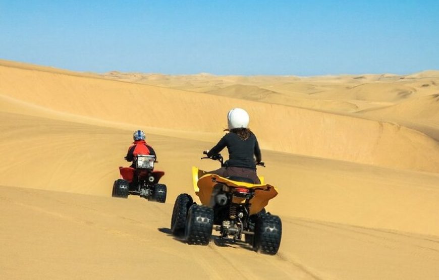 QUAD à Tamanrasset