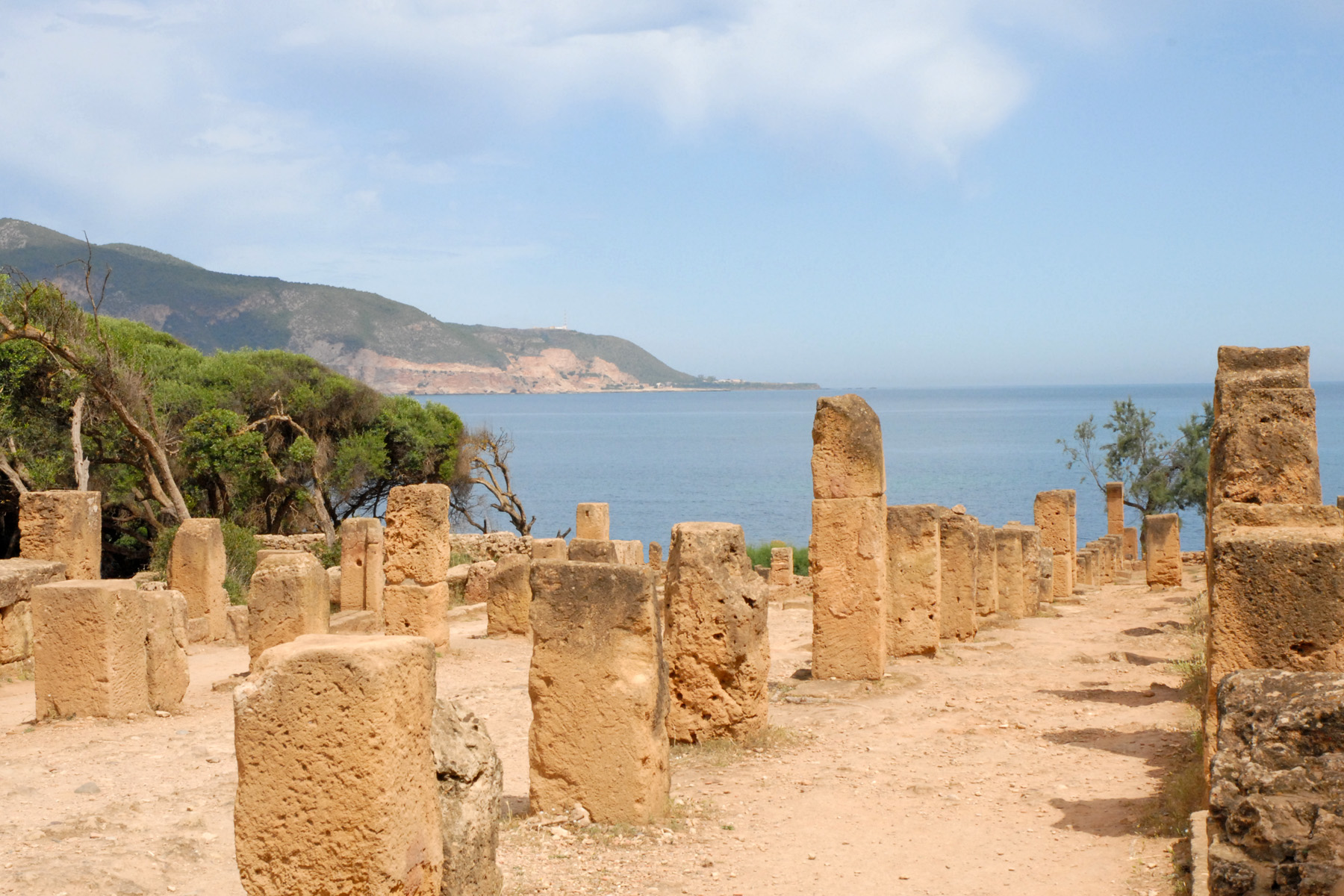 Tipaza